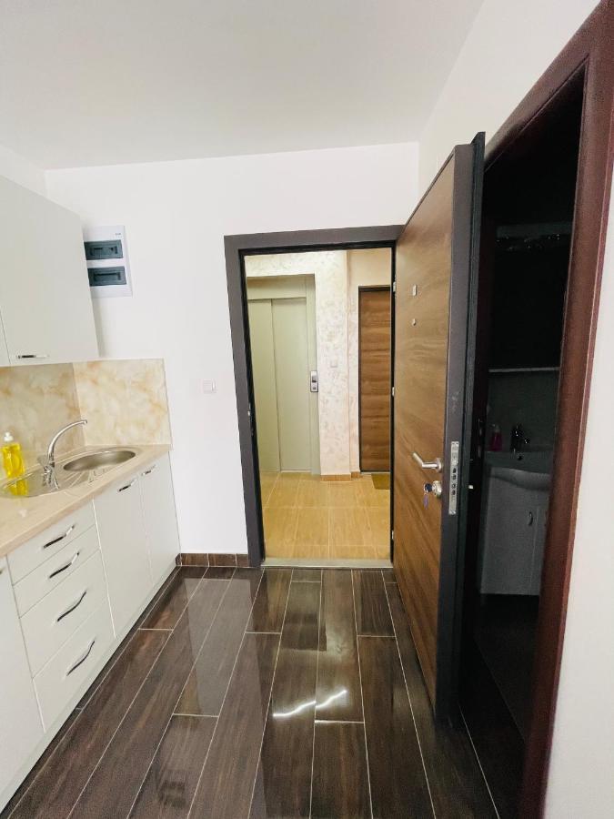 Apartmani Zivkovic Srebrno Jezero Veliko Gradište Dış mekan fotoğraf